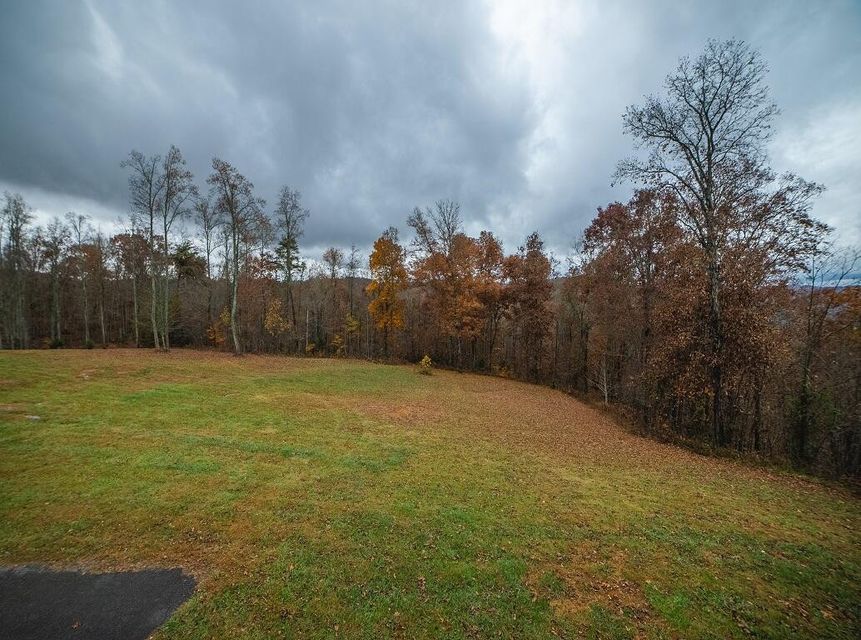 Photo #12: 556 Riverbluff Drive