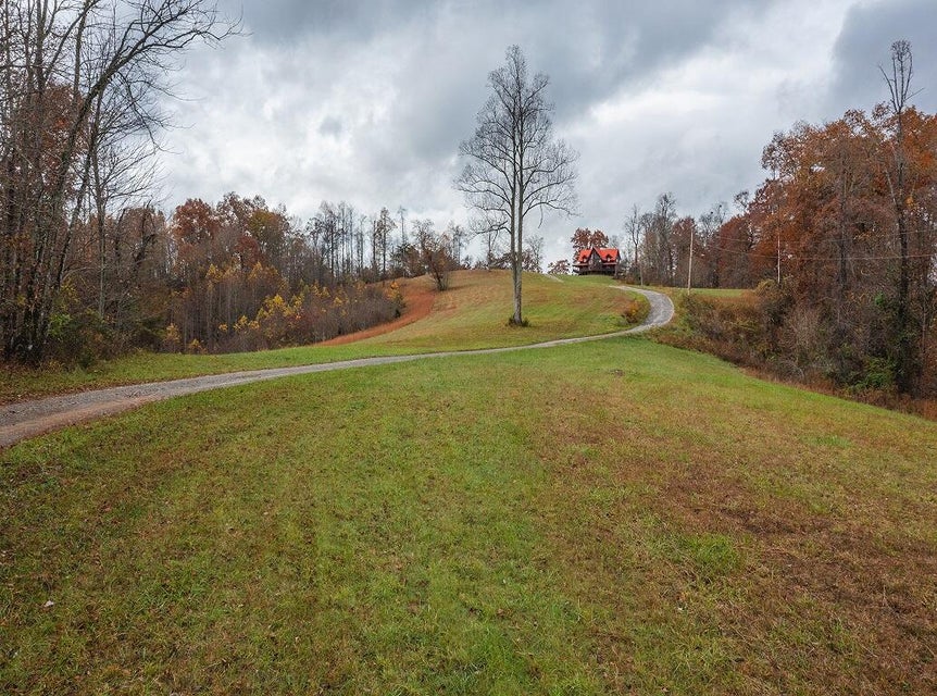 Photo #19: 556 Riverbluff Drive