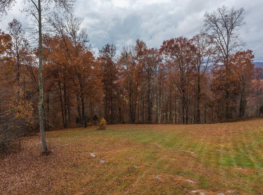 Photo #23: 556 Riverbluff Drive