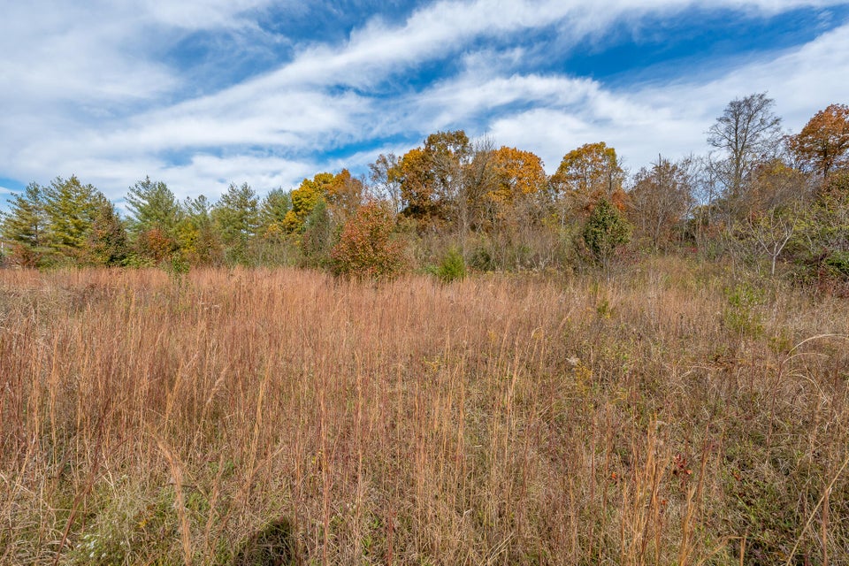 Photo #35: Tbd Kingsport Highway