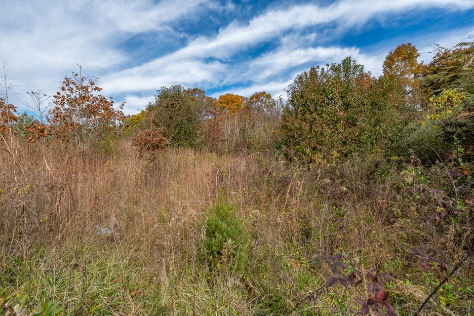 Photo #37: Tbd Kingsport Highway