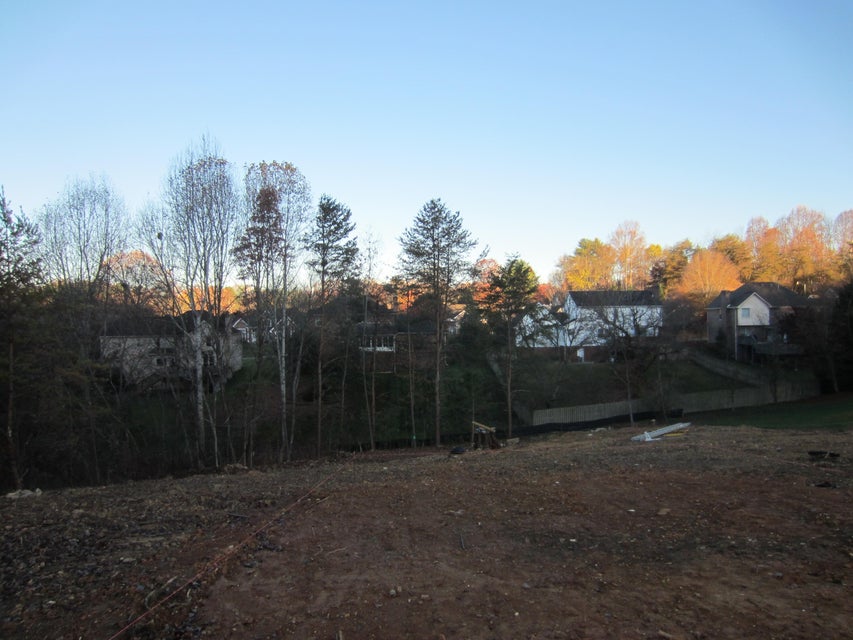 Photo #9: 116 Queensgate