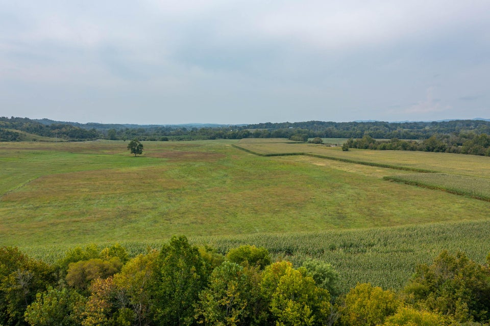 Photo #60: 5335 Old Baileyton Road