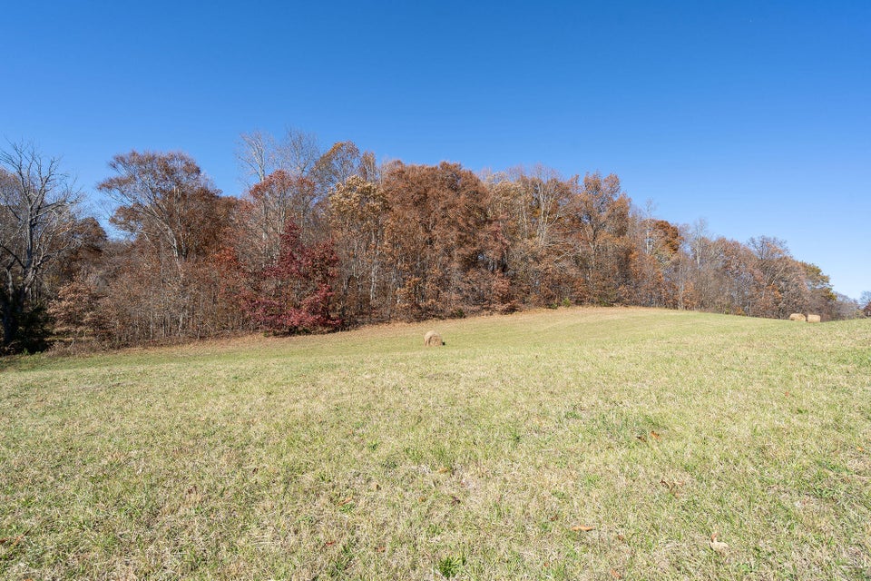 Photo #19: 1589 Rocky Hollow Road