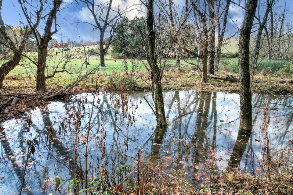 Photo #14: 2744 Ripley Island Road