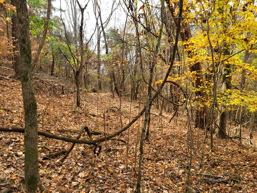 Photo #30: 2744 Ripley Island Road