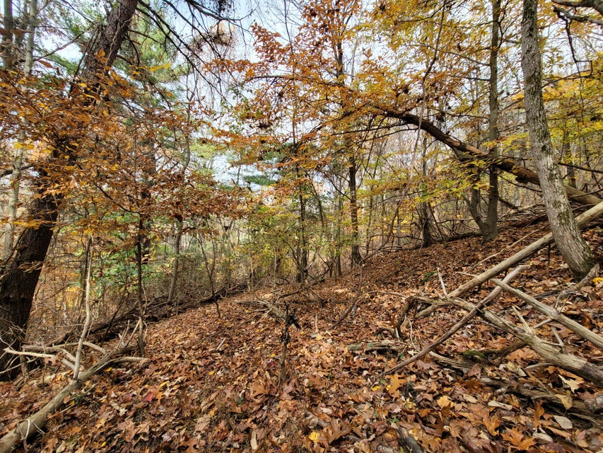 Photo #28: 2744 Ripley Island Road