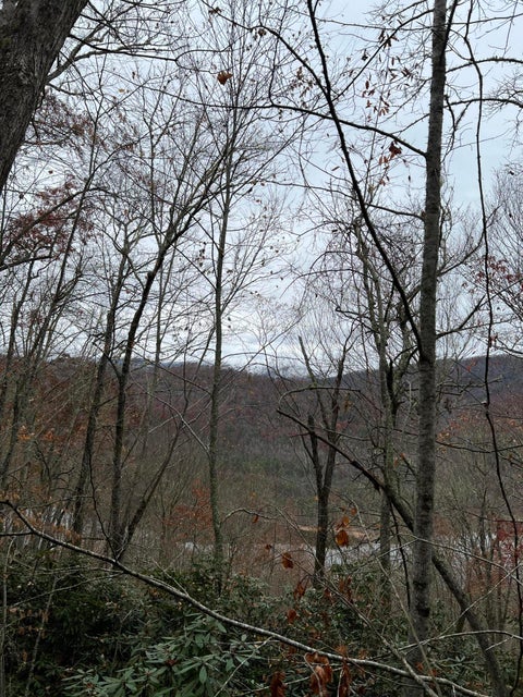 Photo #5: 0 Lakeview Dr Drive