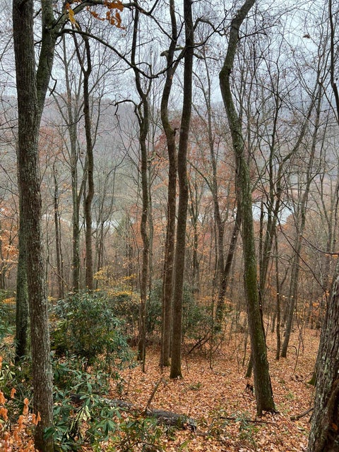 Photo #7: 0 Lakeview Dr Drive