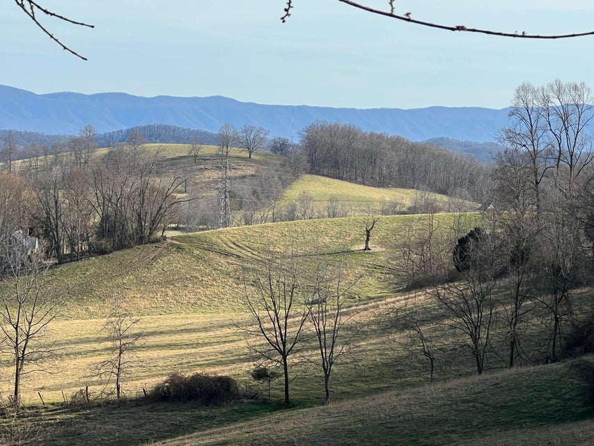 Photo #3: Tbd Wyndale Road