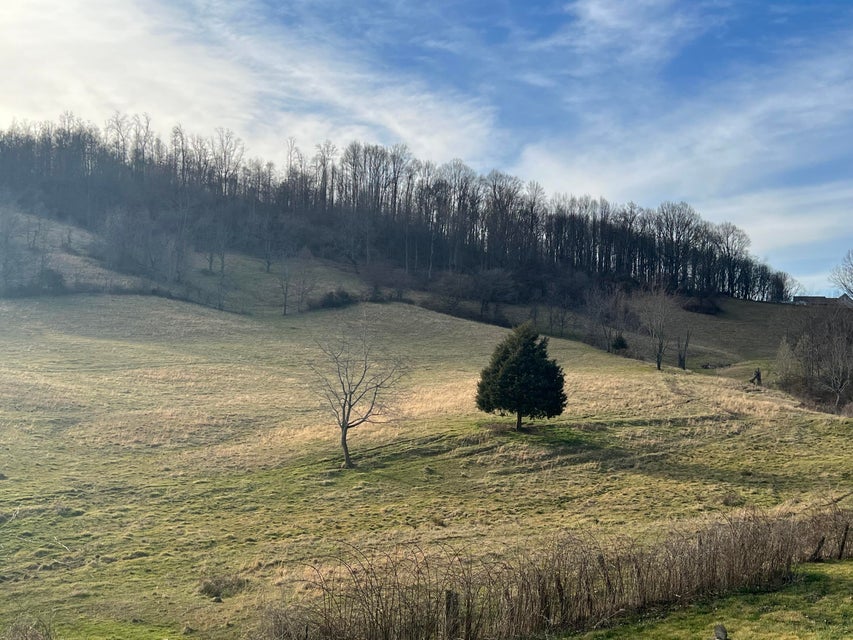 Photo #5: Tbd Wyndale Road