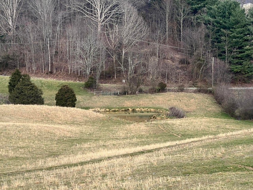 Photo #8: Tbd Wyndale Road