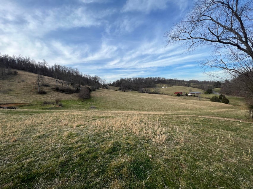 Photo #11: Tbd Wyndale Road