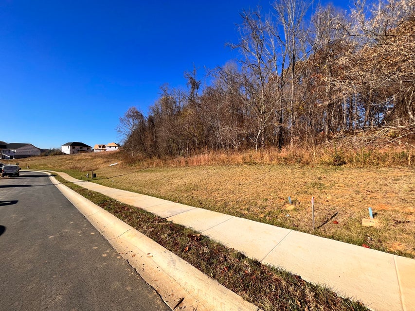 Photo #2: Lot 57 Gransley Ct Road