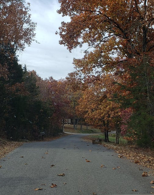 Photo #20: 480 Ridge Road