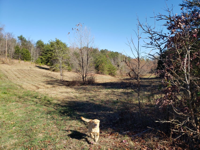 Photo #21: 480 Ridge Road