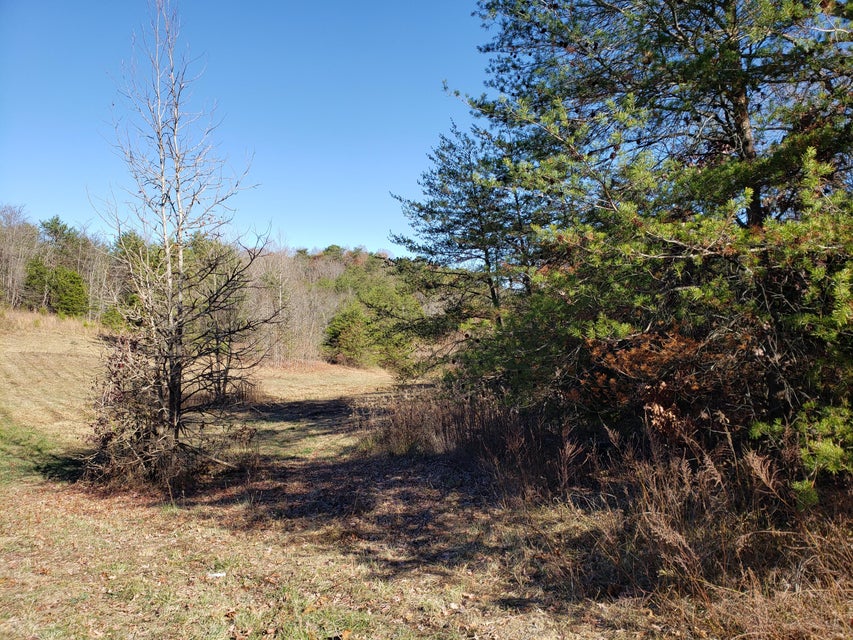 Photo #22: 480 Ridge Road