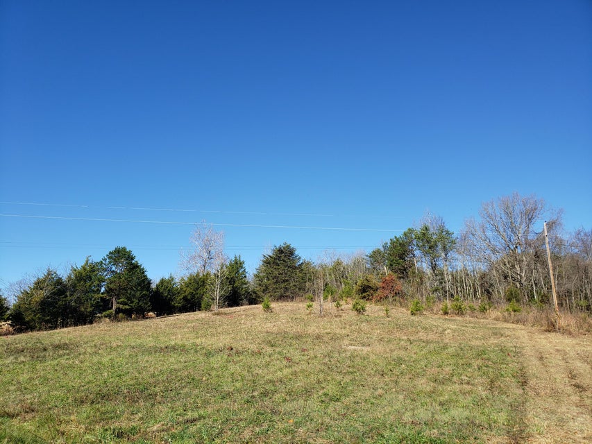 Photo #25: 480 Ridge Road