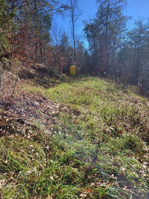 Photo #5: Tbd Fishers Creek Road