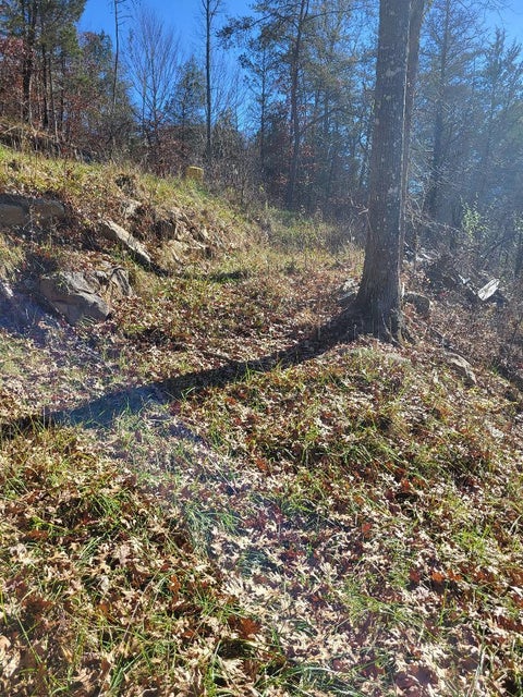 Photo #6: Tbd Fishers Creek Road