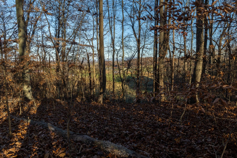 Photo #3: 0 Ridgemont Circle