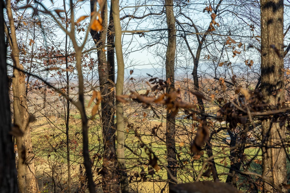 Photo #6: 0 Ridgemont Circle