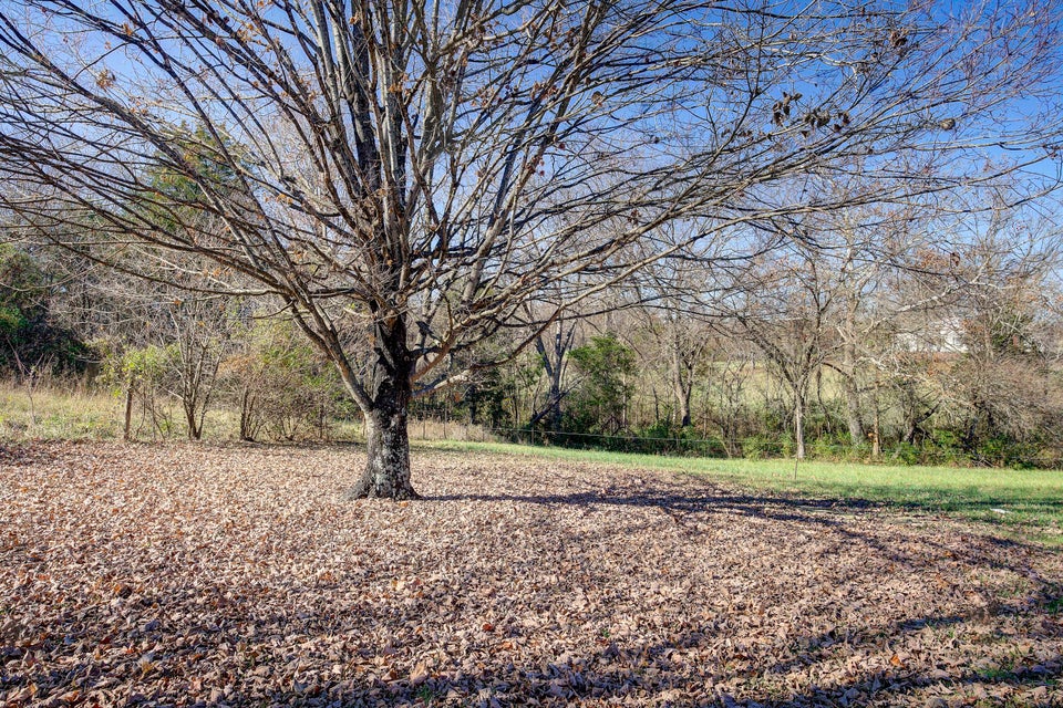 Photo #27: 171 Simpson Road
