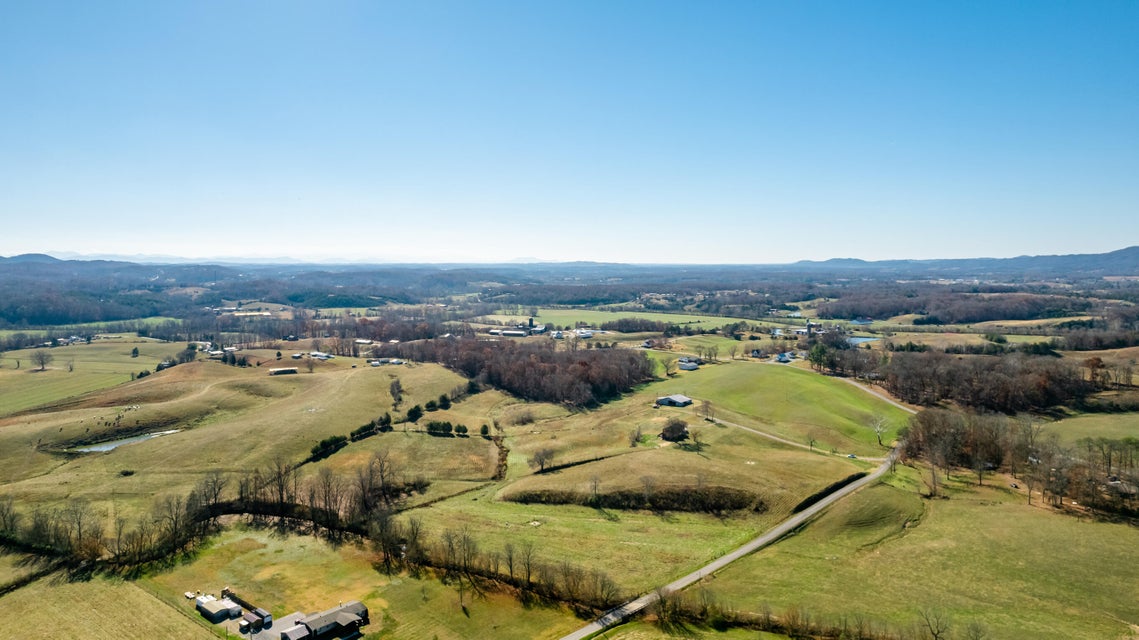 Photo #42: 70 Weems Road