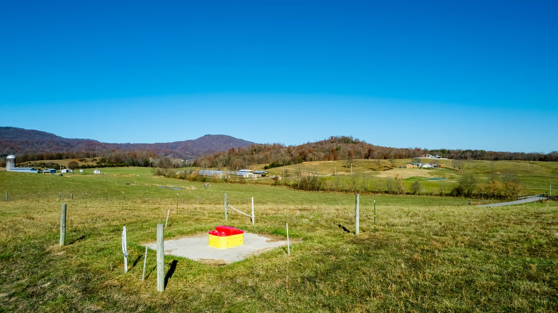 Photo #44: 70 Weems Road