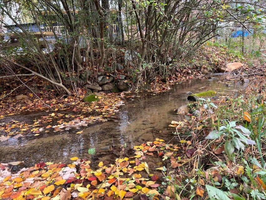 Photo #17: 220 Jenkins Hollow Road