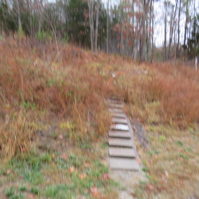 Photo #51: 15460 Andrew Johnson Highway