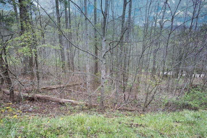 Photo #13: Tbd Lakeview Drive