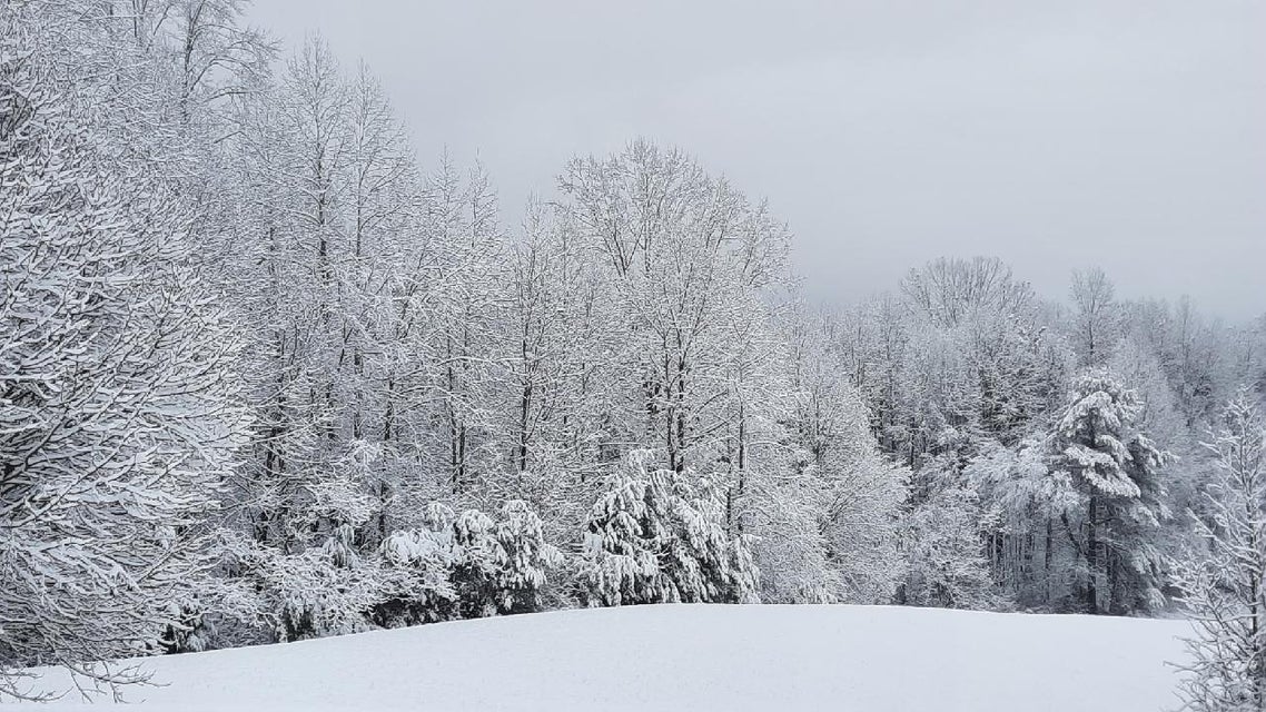 Photo #43: 610 Chestnut Ridge Road