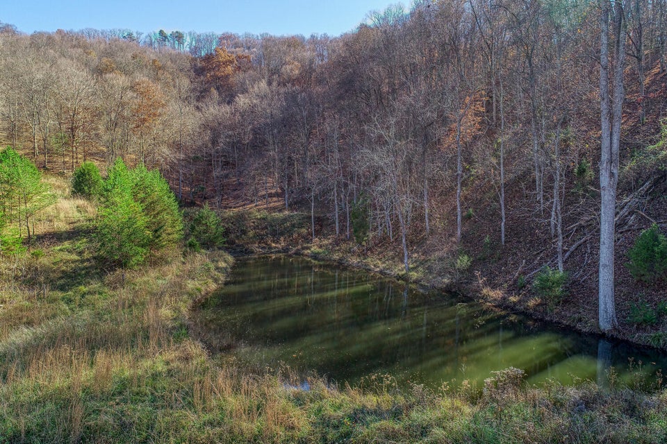 Photo #17: 1541 War Valley Road