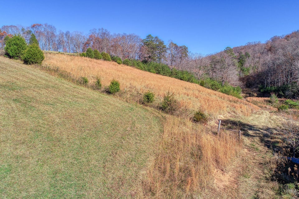 Photo #20: 1541 War Valley Road