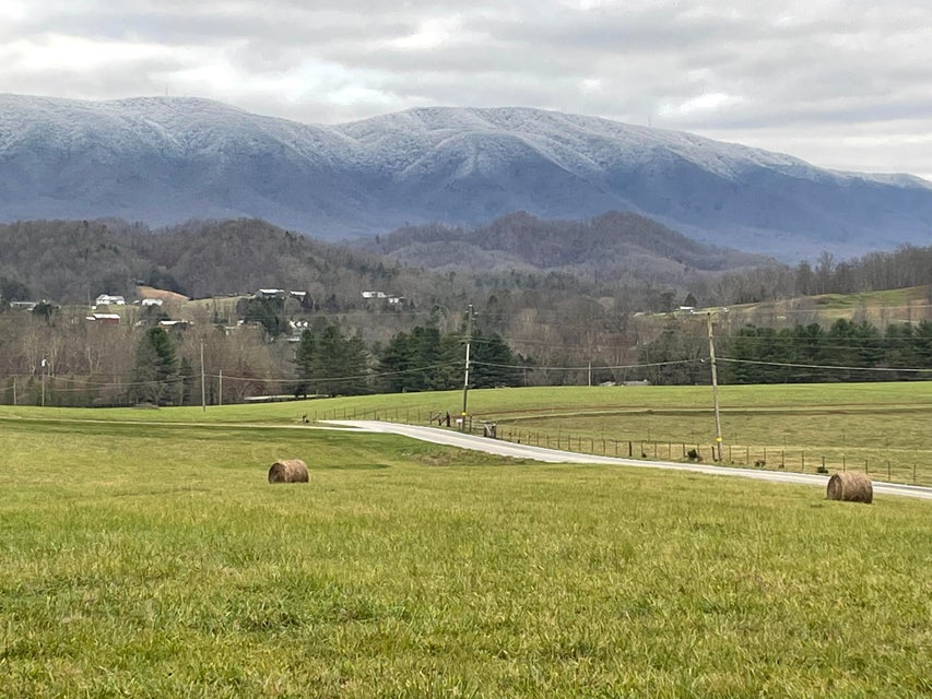 Photo #19: 997 Bullock Hollow Road