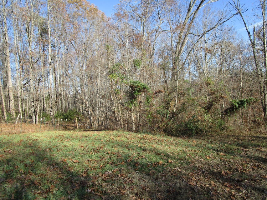 Photo #17: 538 Bayless Road