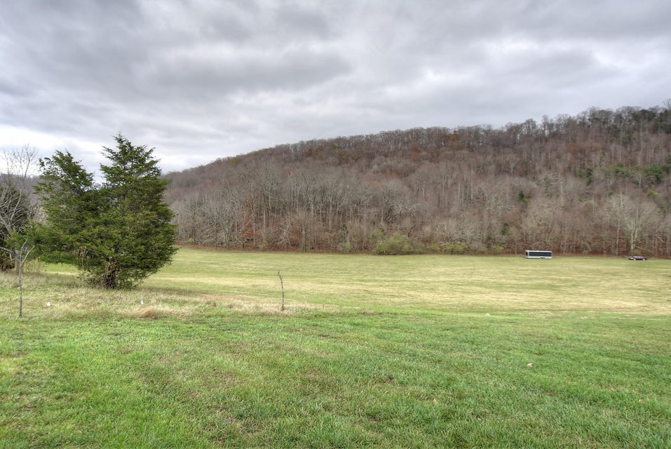 Photo #69: 1104 Wiembley Drive