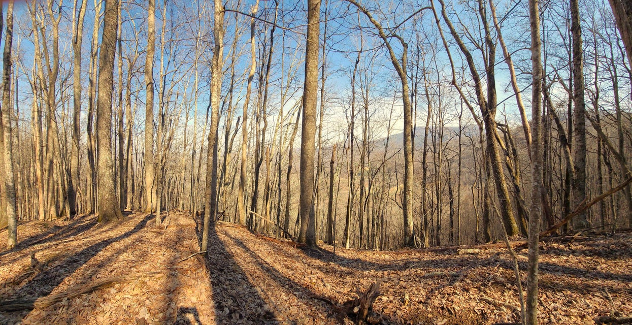 Photo #30: Tbd Cole Road Extension