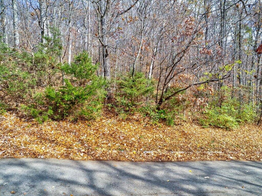 Photo #6: 3641 Meadowland Drive