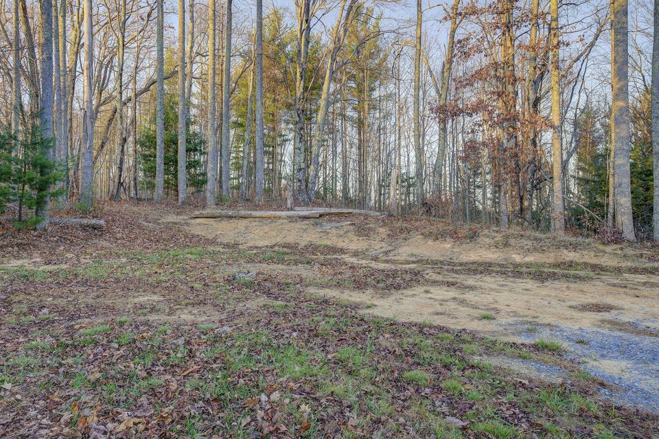 Photo #8: 305 Blackberry Cove Circle