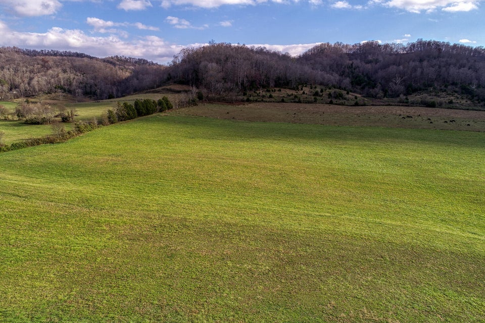 Photo #33: 1902 Stanley Valley Road