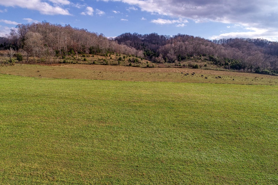 Photo #36: 1902 Stanley Valley Road
