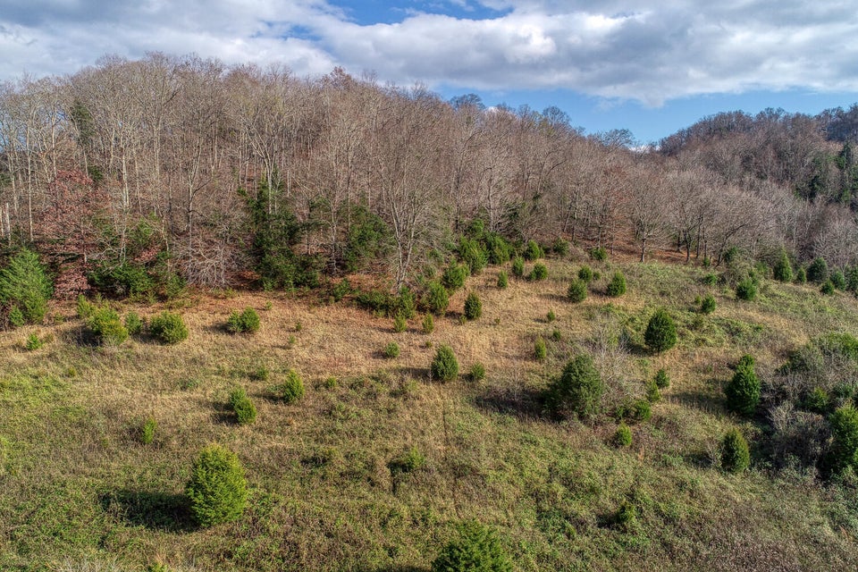Photo #45: 1902 Stanley Valley Road