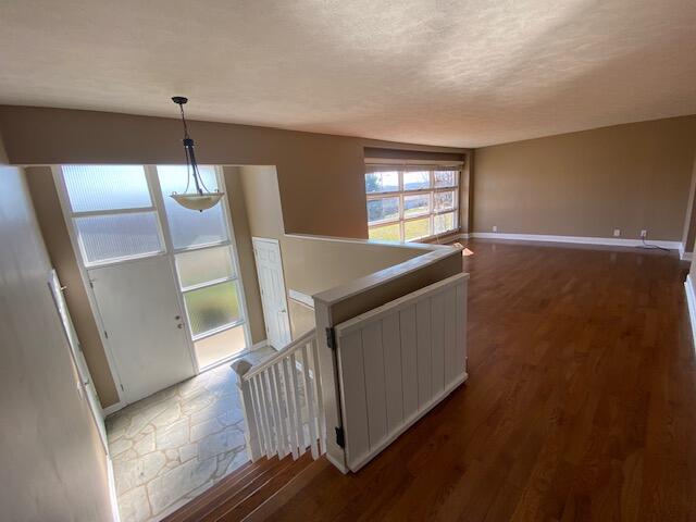 Photo #6: 1232 Buchelew Drive
