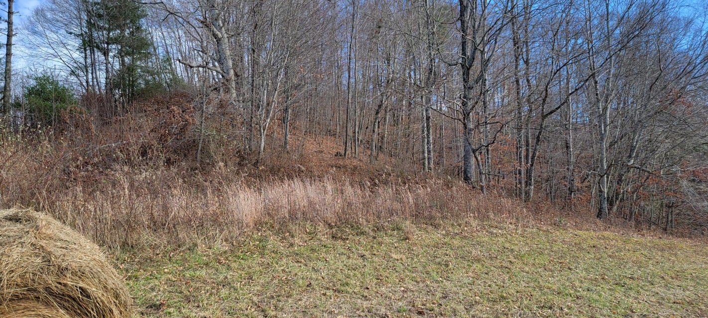 Photo #19: 1546 Stage Road