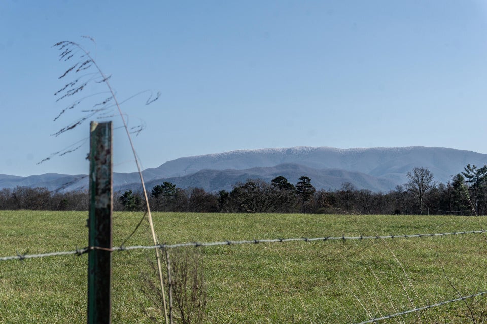 Photo #47: 835 John Bird Road