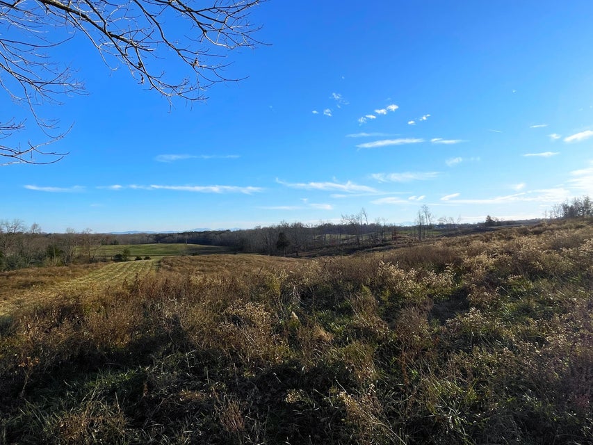 Photo #16: 109 Acres Gap Creek Road
