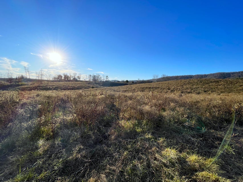 Photo #18: 109 Acres Gap Creek Road