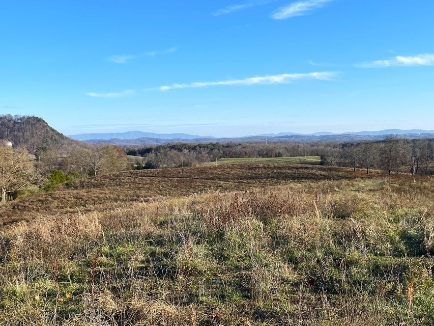 Photo #20: 109 Acres Gap Creek Road